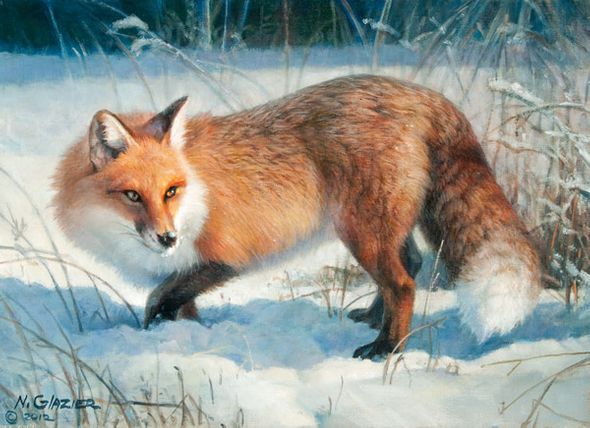 Nancy Glazier Artist Signed Open Edition Canvas:"Winter Fox"
