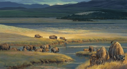 Nancy Glazier Handsigned and Numbered Limited Edition Giclee: "Buffalo Valley"