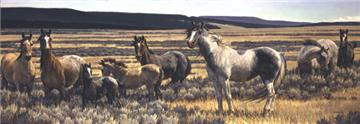 Nancy Glazier Handsigned & Numbered Limited Edition:"Amazing Grays V"
