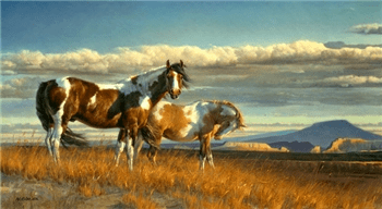 Nancy Glazier Handsigned & Numbered Limited Edition Canvas :"Painted Desert, The"