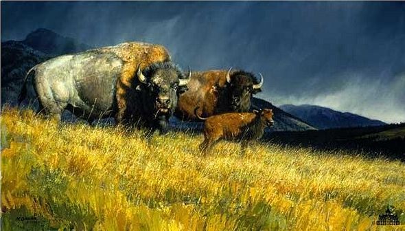 Nancy Glazier Artist Signed & Numbered Limited Edition Grande Canvas Giclee:"Stormy"