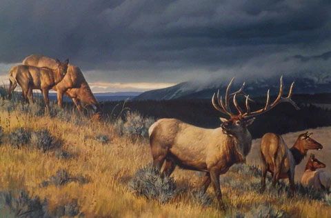 Nancy Glazier Print-Signed and Numbered:"Farewell to Fall II"