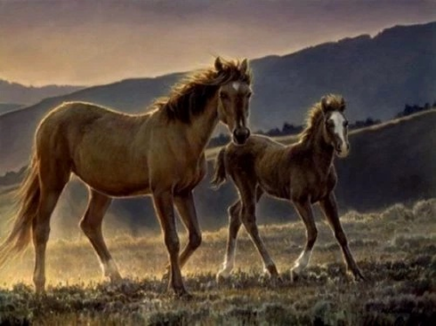 Nancy Glazier Signed and Numbered Limited Edition Canvas: "Star and Her Foal"