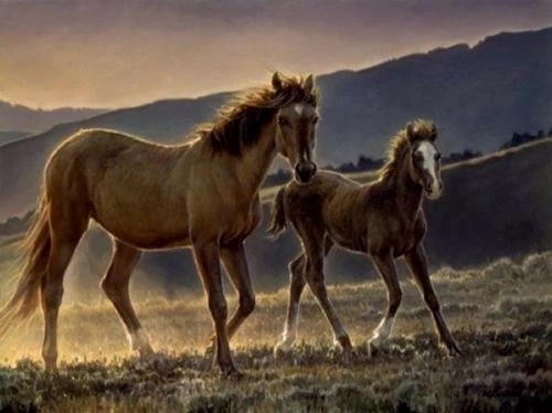 Nancy Glazier Signed and Numbered Limited Edition Canvas: "Star and Her Foal"