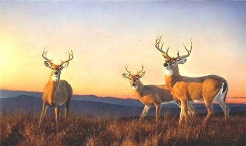 Nancy Glazier Signed and Numbered Limited Edition PP Lithograph: "Sundown" Nancy Glazier Signed and Numbered Limited Edition PP Lithograph: "Sundown"