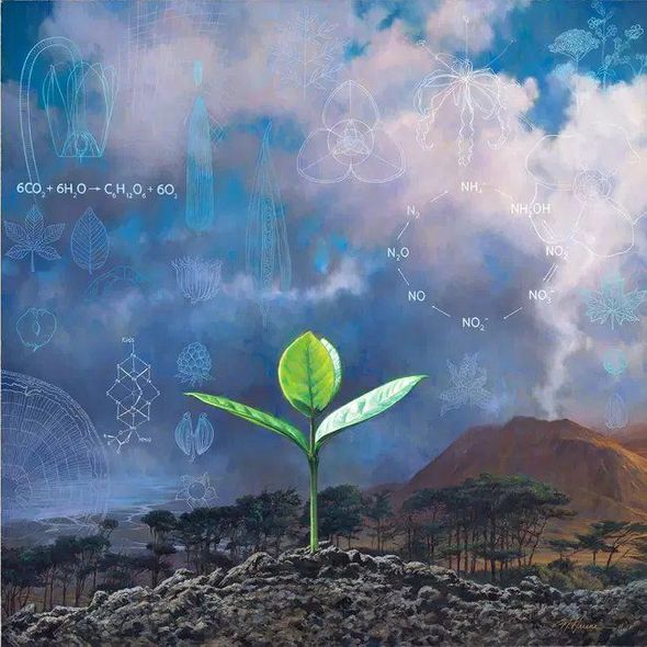 Nathan Greene Limited Edition Gallery Wrap Canvas Giclee:"Days of Creation 3 - The Third Day"