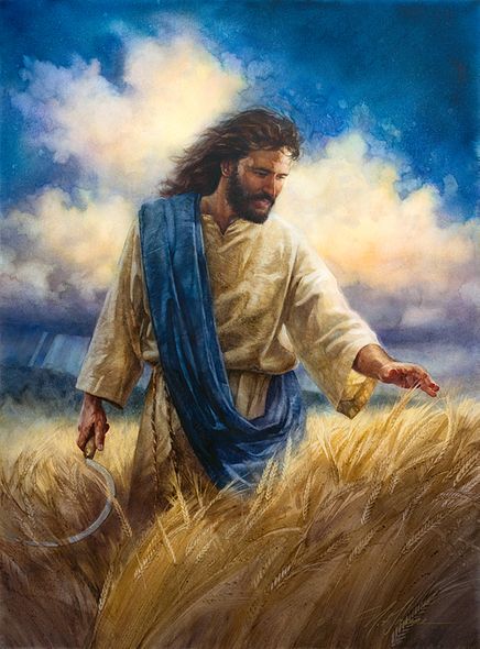 Nathan Greene Limited Edition Canvas Giclee:"Reaping The Harvest"