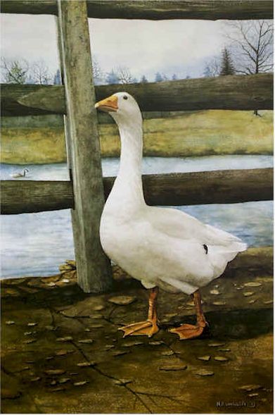 Nicholas Santoleri Limited Edition Print:"Portrait of a Goose"