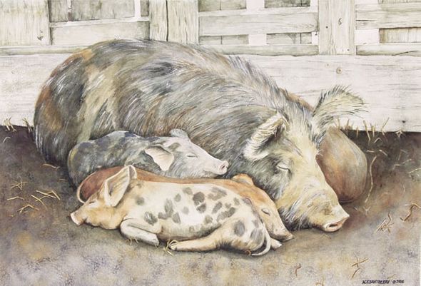Nicholas Santoleri Limited Edition Print:"Priscilla and Piglets"