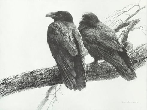 Robert Bateman Artist Signed Limited Edition Canvas | Metal Giclee:"Raven Pair on Branch" Robert Bateman Artist Signed Limited Edition Canvas | Metal Giclee:"Raven Pair on Branch"