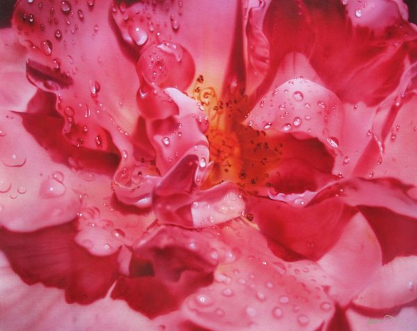 Noah Hand Signed Limited Edition Giclee:"First Light"