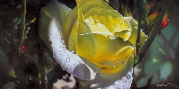 Noah Hand Signed Limited Edition Giclee:"The Color Of Spring"