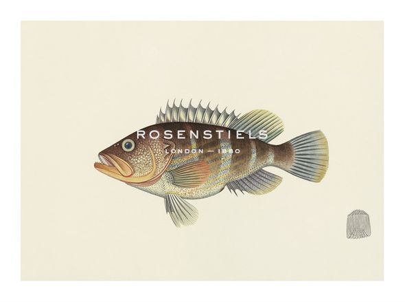 Oriental School Hand Numbered Limited Edition Print on Paper :"Fish Study in Brown and Orange"