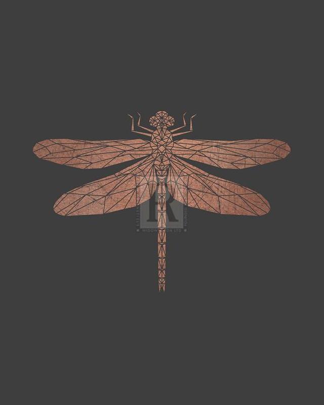 Otto Gibb 30 x 40 in. Open Giclee Canvas:"Crystal Dragonfly"