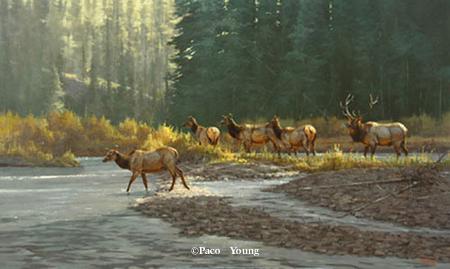 PACO YOUNG 27X45 Secondary Market Art: "AUTUMN SONG GCNV"