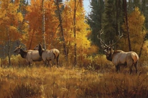 Paco Young Signed and Numbered Limited Edition  Lithograph: "Autumn Brilliance"