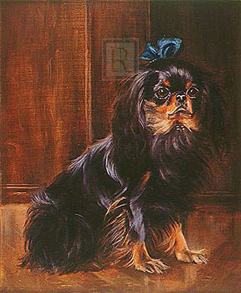 Patricia Morrow Hand Numbered Limited Edition Print on Paper :"Tiny - A Black And Tan King"