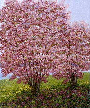 Patrick Antonelle Limited Edition Giclee on Canvas:"Magnolias"