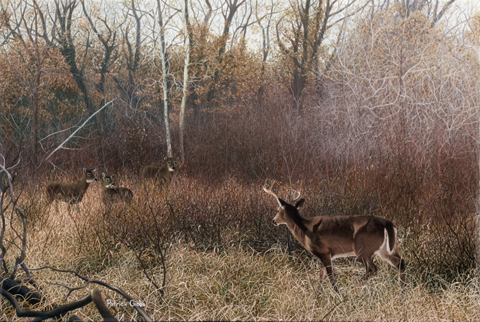 Patrick Gibbs Handsigned and Numbered Limited Edition Print:"Endless Pursuit 10 x 18"
