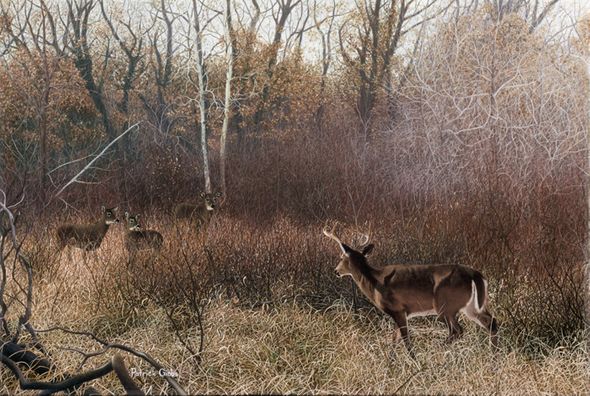Patrick Gibbs Handsigned and Numbered Limited Edition Print:"Endless Pursuit 10 x 18"
