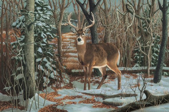 Patrick Gibbs Handsigned and Numbered Limited Edition Print:"Sentry 16 x 23"