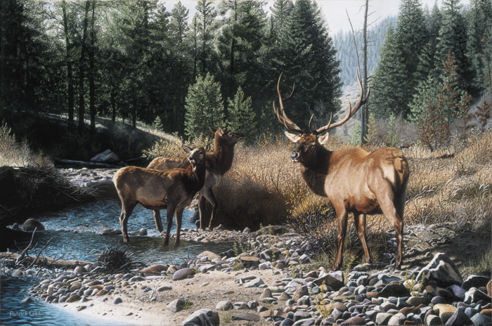 Patrick Gibbs Open Edition Lithograph on Paper:"His Majesty"