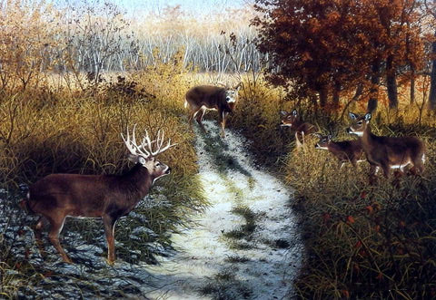 Patrick Gibbs Print-Signed and Numbered:"The Mating Game"