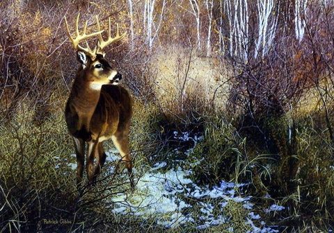 Patrick Gibbs Print-Signed and Numbered:"Woodland Fantasy"