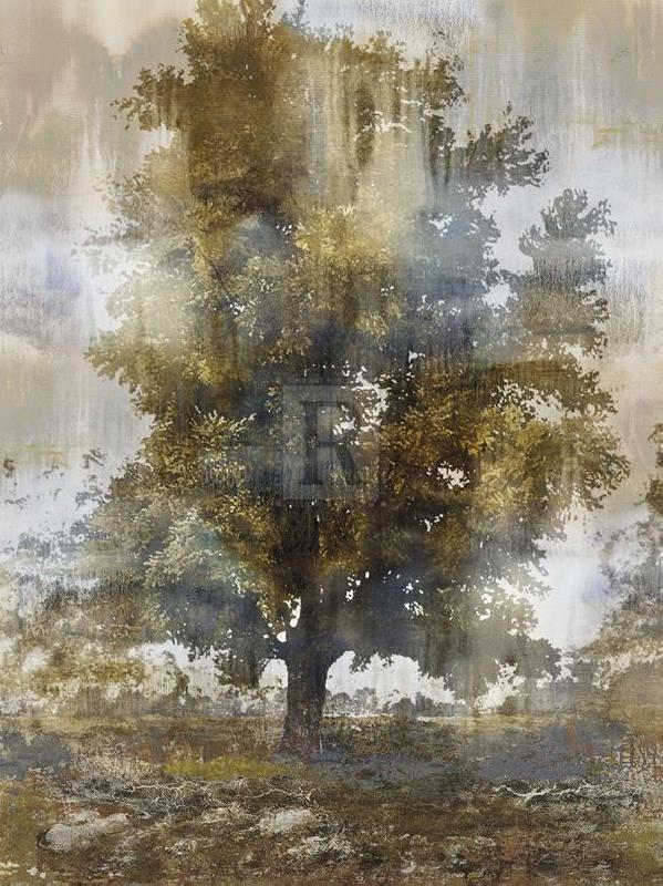 Paul Duncan 30 x 40 in. Open Giclee Canvas:"Tree Dreamscape I"