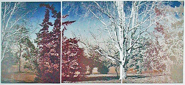 Paula Crane Limited Edition Etching Triptych: "QUADRILLE (Suite of 3)"