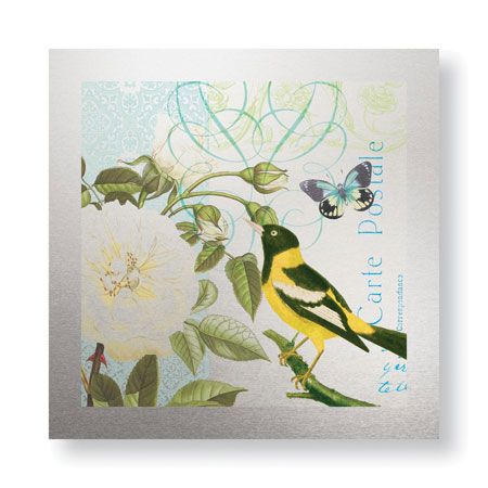 Paula Scaletta Limited Edition Ready to Hang Giclee on Brushed Aluminum: "Floral Bliss III"
