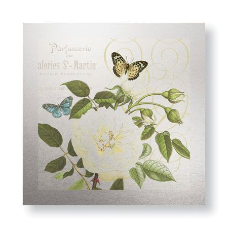 Paula Scaletta Limited Edition Ready to Hang Giclee on Brushed Aluminum: "French Rose"