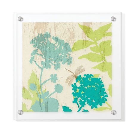 Paula Scaletta Limited Edition Ready to Hang Giclee on Clear Acrylic: "Modern Botanic I"