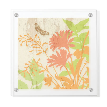 Paula Scaletta Limited Edition Ready to Hang Giclee on Clear Acrylic: "Modern Botanic III"