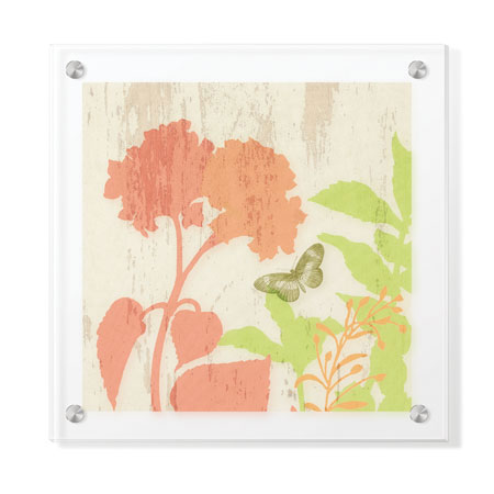 Paula Scaletta Limited Edition Ready to Hang Giclee on Clear Acrylic: "Modern Botanic IV"