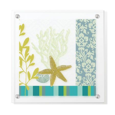 Paula Scaletta Limited Edition Ready to Hang Giclee on Clear Acrylic: "Nature Journal IV"