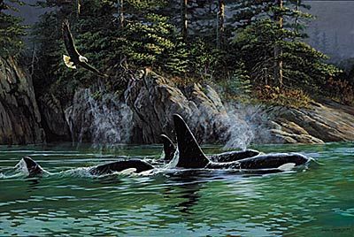 Persis C. Weirs Limited Edition Print:"Share Space-Orcas and Eagles"