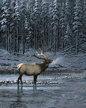PERSIS CLAYTON WEIRS 23X18 Secondary Market Art: "LONESOME BULL ELK"