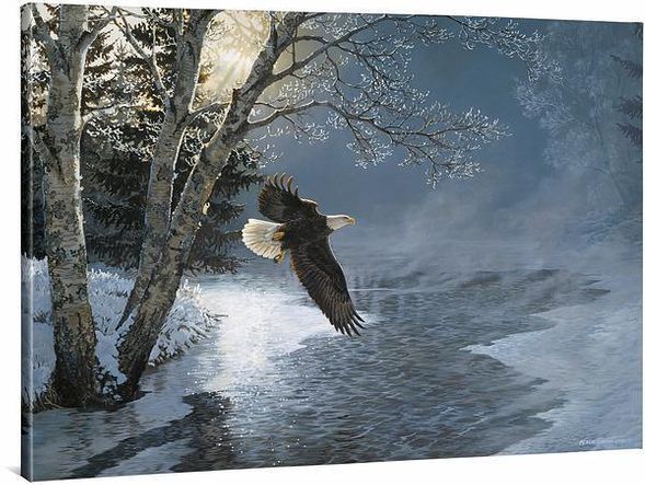 Persis Clayton Weirs 33x45 Oversized Gallery Wrap Canvas:"Awakening—Bald Eagle"