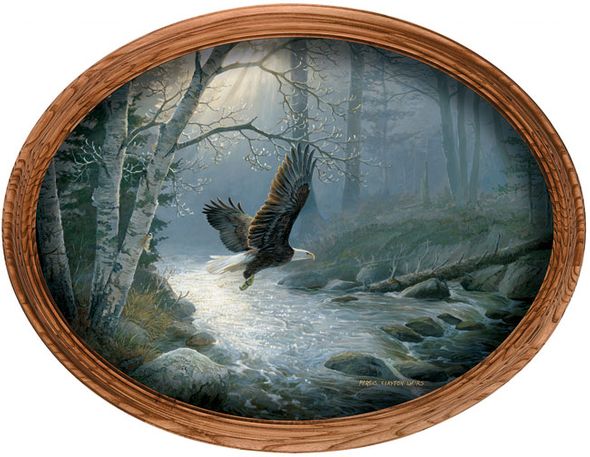 Persis Clayton Weirs Framed Canvas Oval: "Spring Run - Bald Eagle"