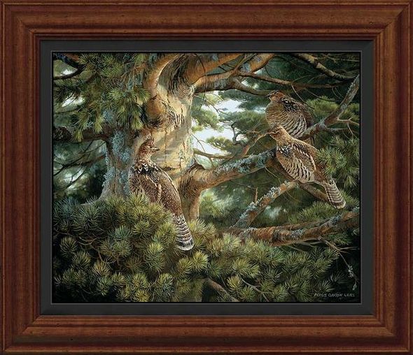 Persis Clayton Weirs Framed Limited Edition Canvas: "Sunlit Pine-Ruffed Grouse"
