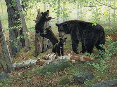 Persis Clayton Weirs Handsigned & Numbered Limited Edition Print:"Playtime-Black Bears"