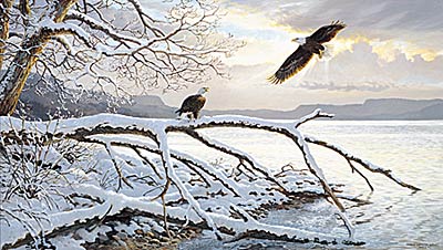 Persis Clayton Weirs Limited Edition Print: "Winter Majesty - Bald Eagles"