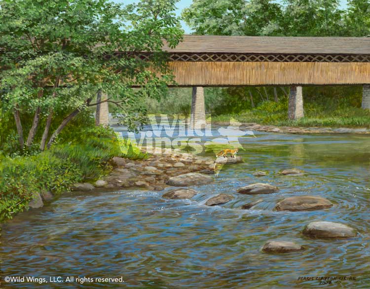 Persis Clayton Weirs Original Art: "Spring Stream"