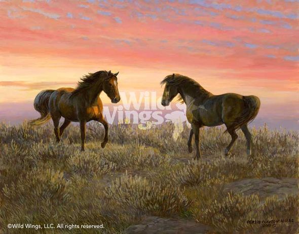Persis Clayton Weirs Original Art: "Sunrise Challenge - Mustang's"