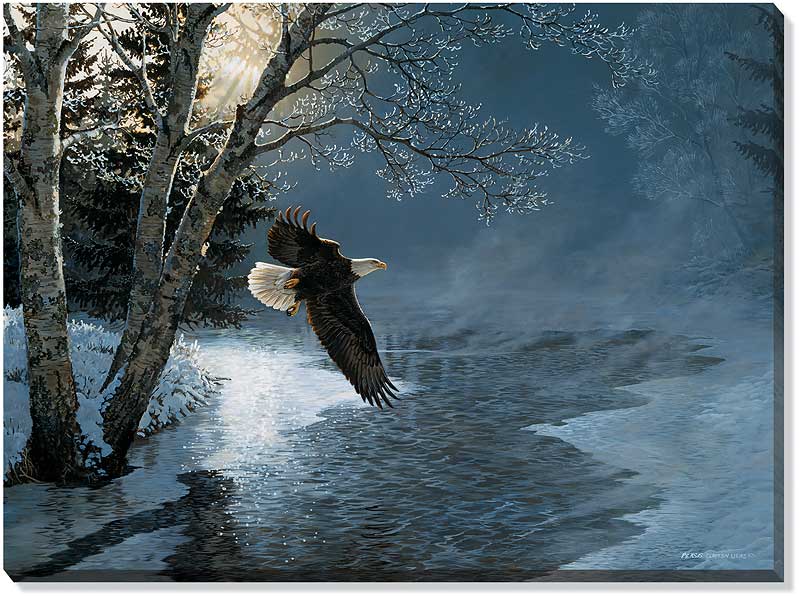 Persis Clayton Weirs Oversize Gallery Wrapped Canvas Giclee: "Awakening - Bald Eagle"