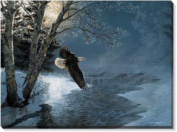 Persis Clayton Weirs Oversize Gallery Wrapped Canvas Giclee: "Awakening - Bald Eagle"