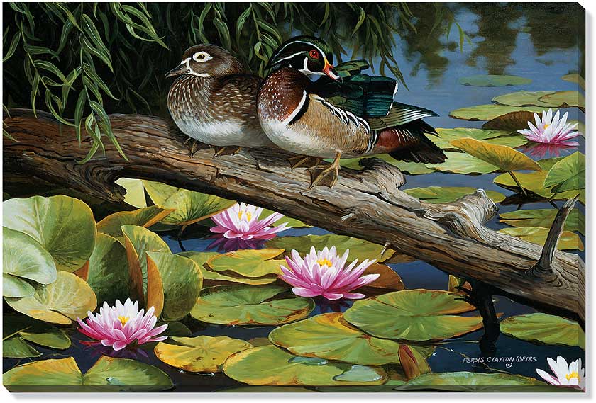 Persis Clayton Weirs Oversize Gallery Wrapped Canvas Giclee:"The Lily Pond - Wood Ducks"