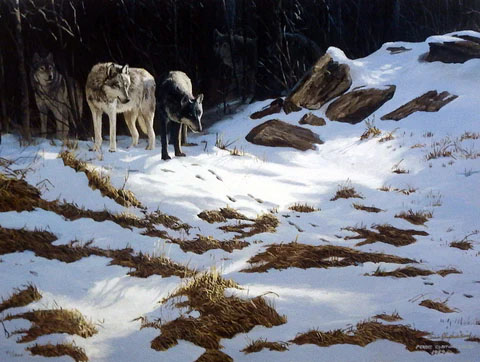 Persis Clayton Weirs Print-Signed and Numbered:"The Trackers- Gray Wolves"