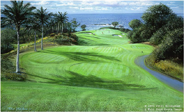 PETER ELLENSHAW  Secondary Market Art: "11TH @ MAUNA KEA"